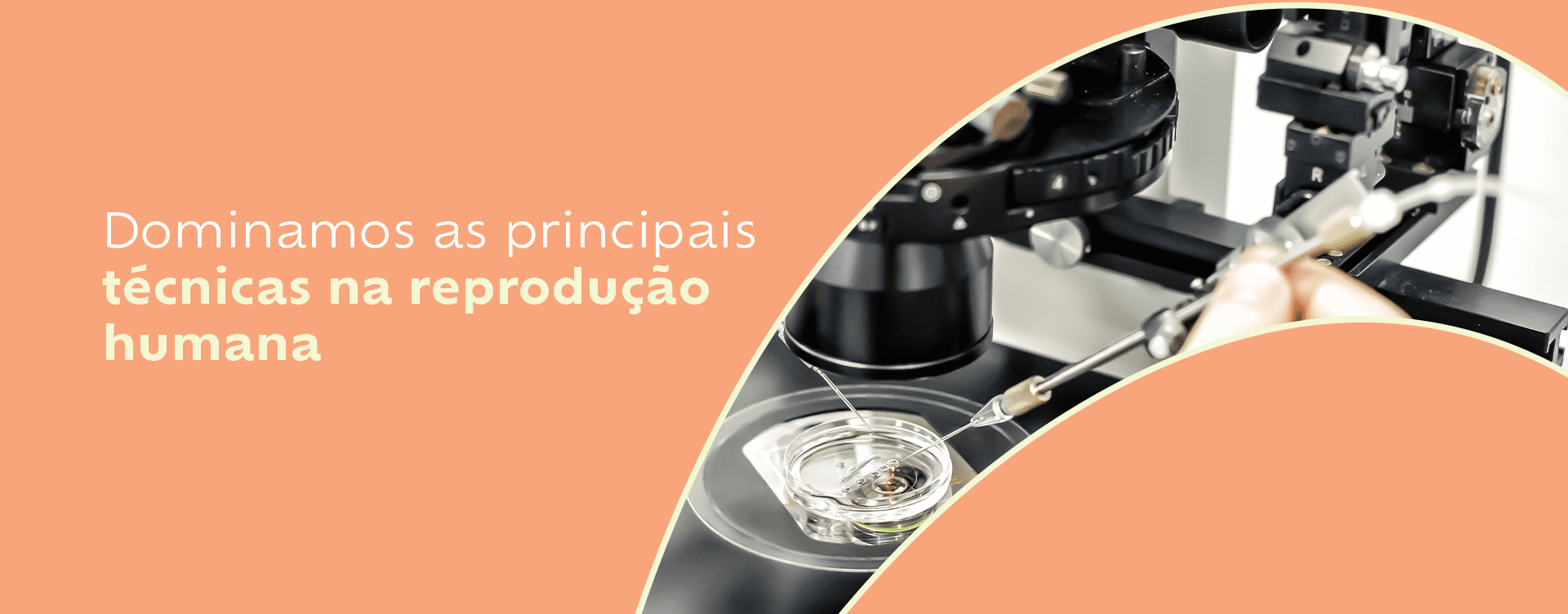 Serviços e tratamentos que oferecemos
